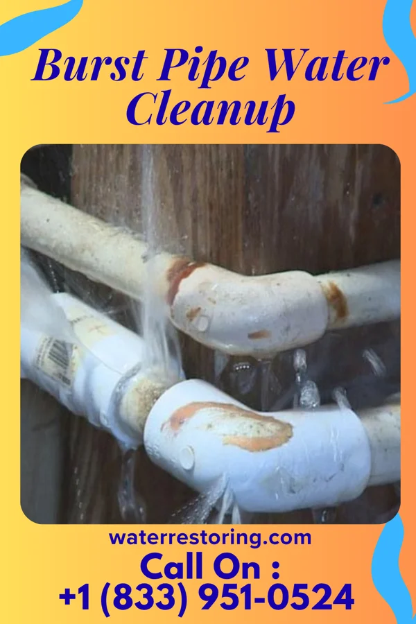 Burst Pipe Water Cleanup in Baskin, LA